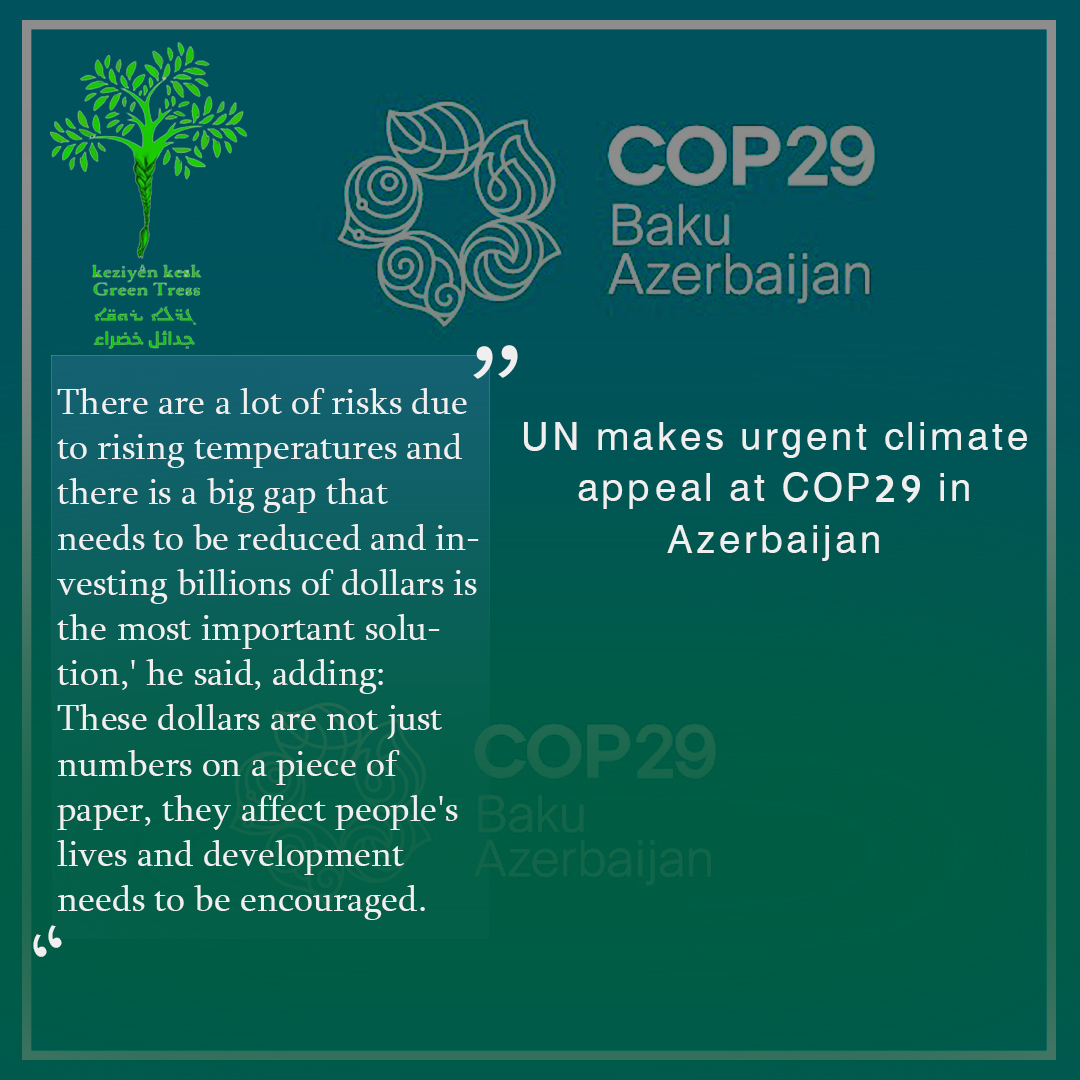 You are currently viewing UN makes urgent climate appeal at COP29 in Azerbaijan