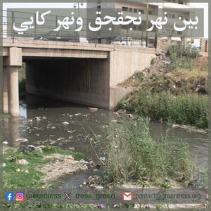 Read more about the article بين نهر جقجق ونهر كايي